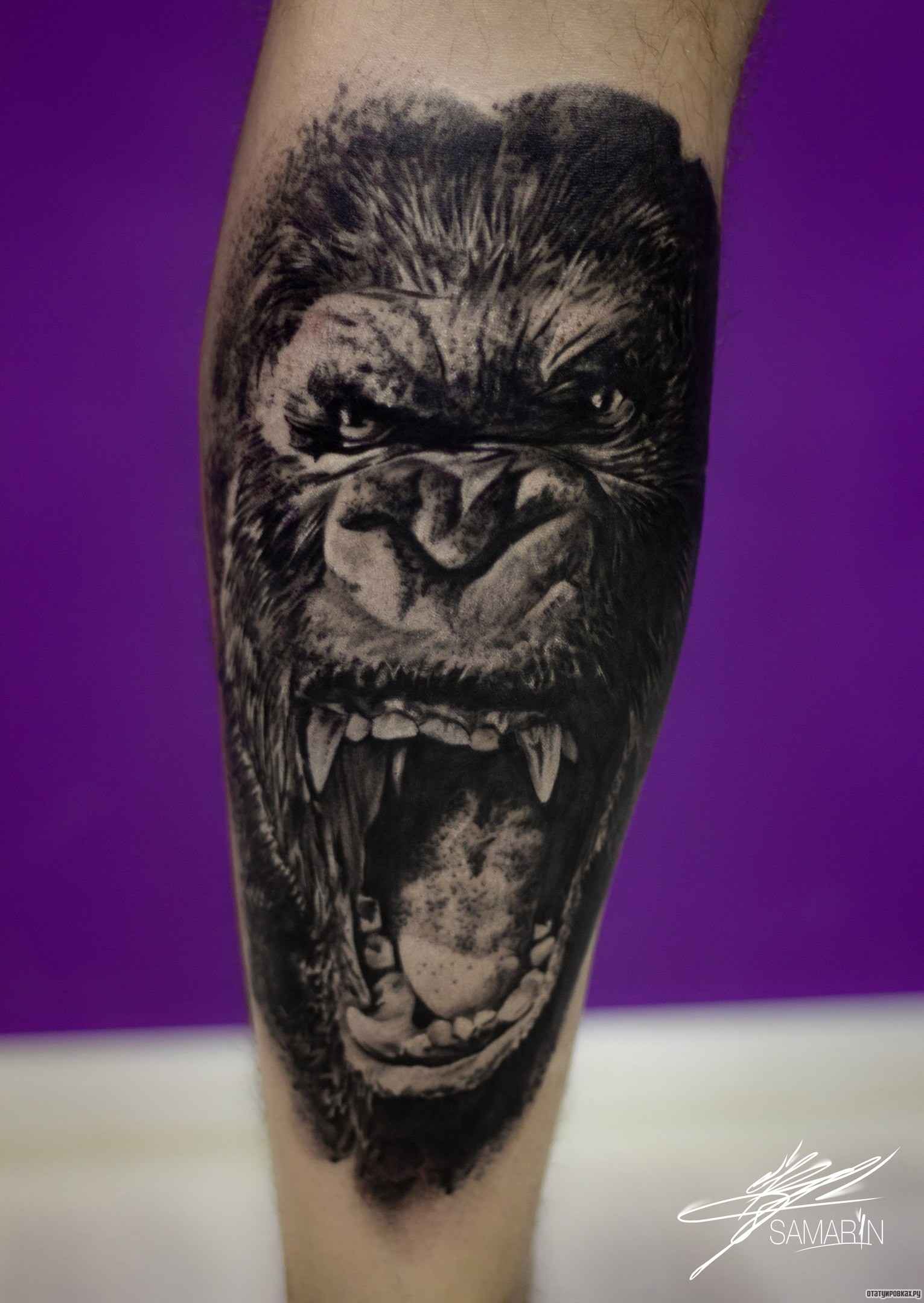 Фотография татуировки под названием «Оскал обезьяны на голени»