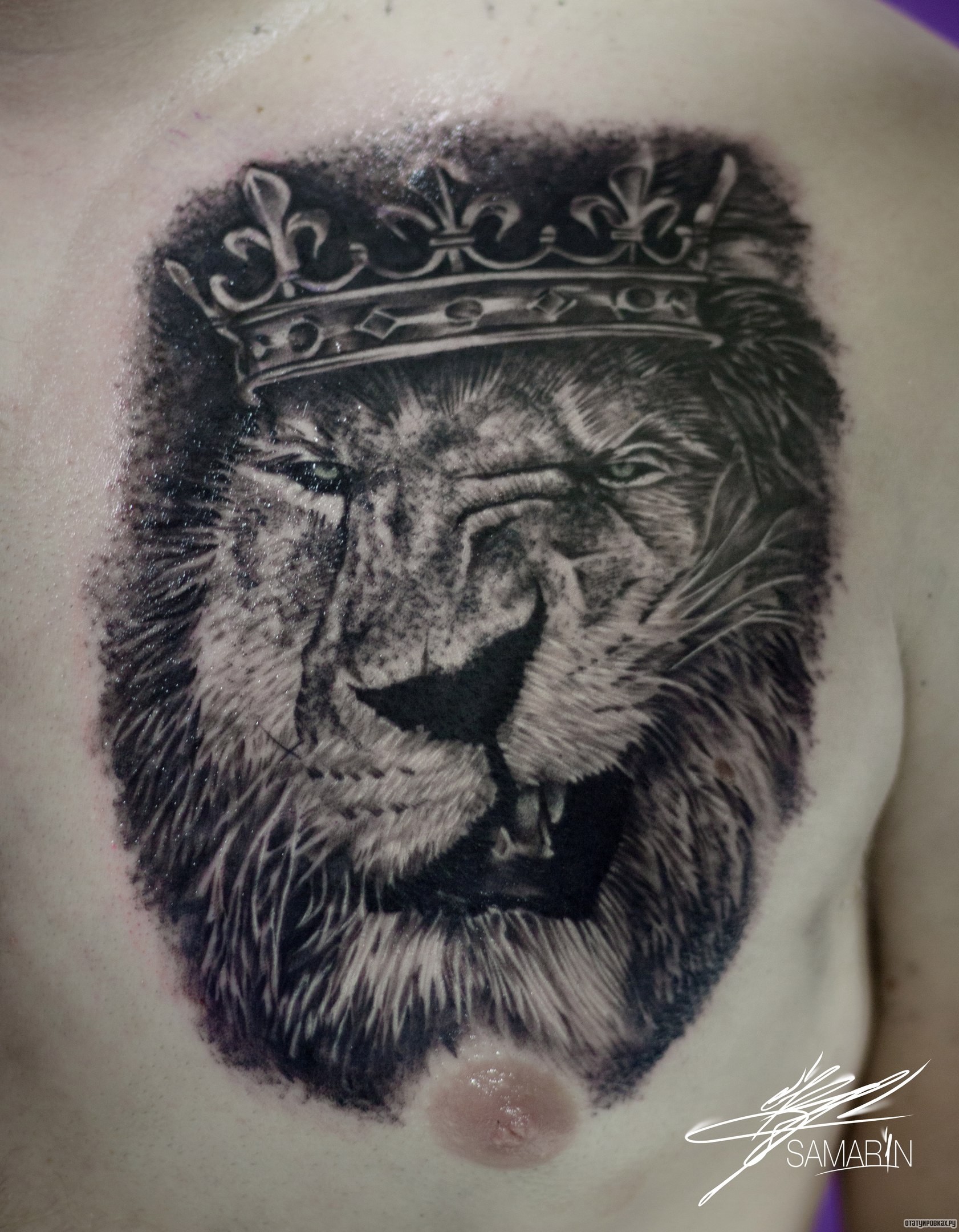 Фотография татуировки под названием «Ухмылка льва в короне на груди»