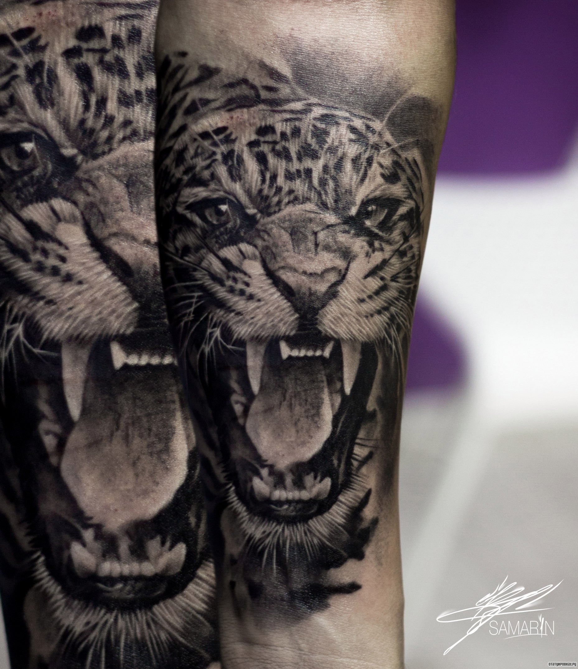 Фотография татуировки под названием «Оскал тигрицы на предплечье»