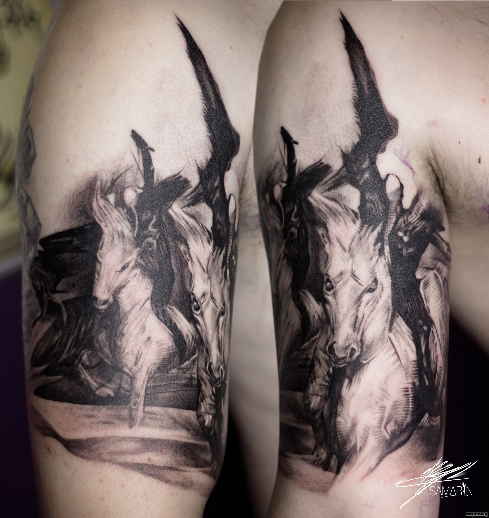 Фотография татуировки под названием «Две лошади на плече»