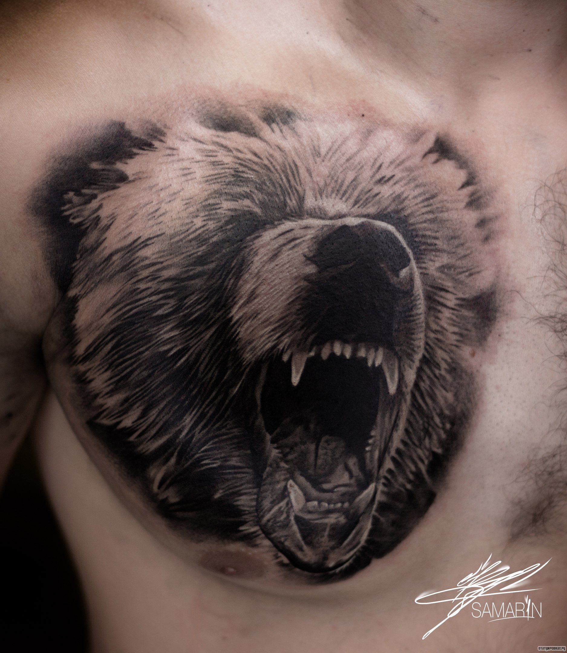 Фотография татуировки под названием «Оскал медведя на груди»