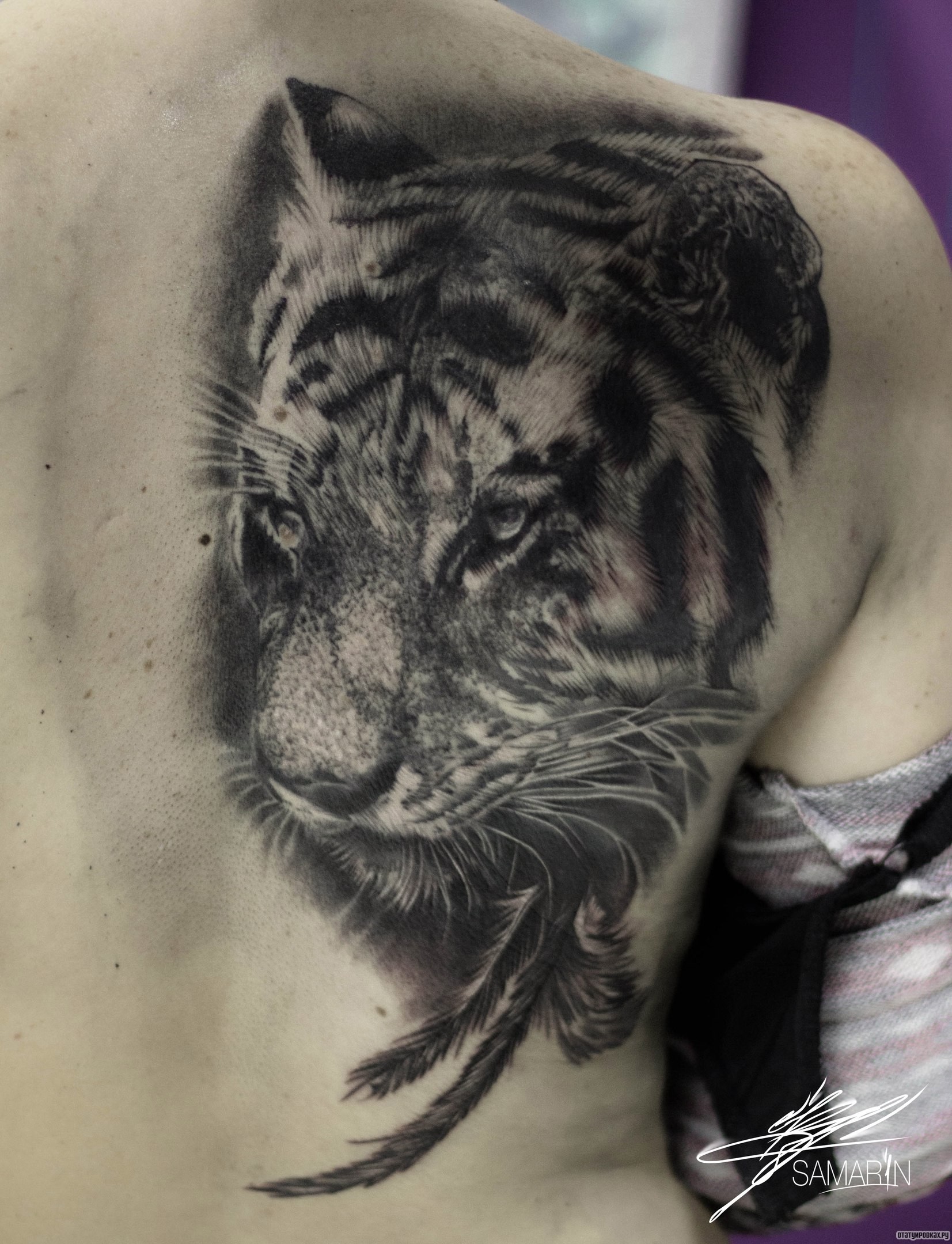 Фотография татуировки под названием «Тигр с перьями на лопатке»