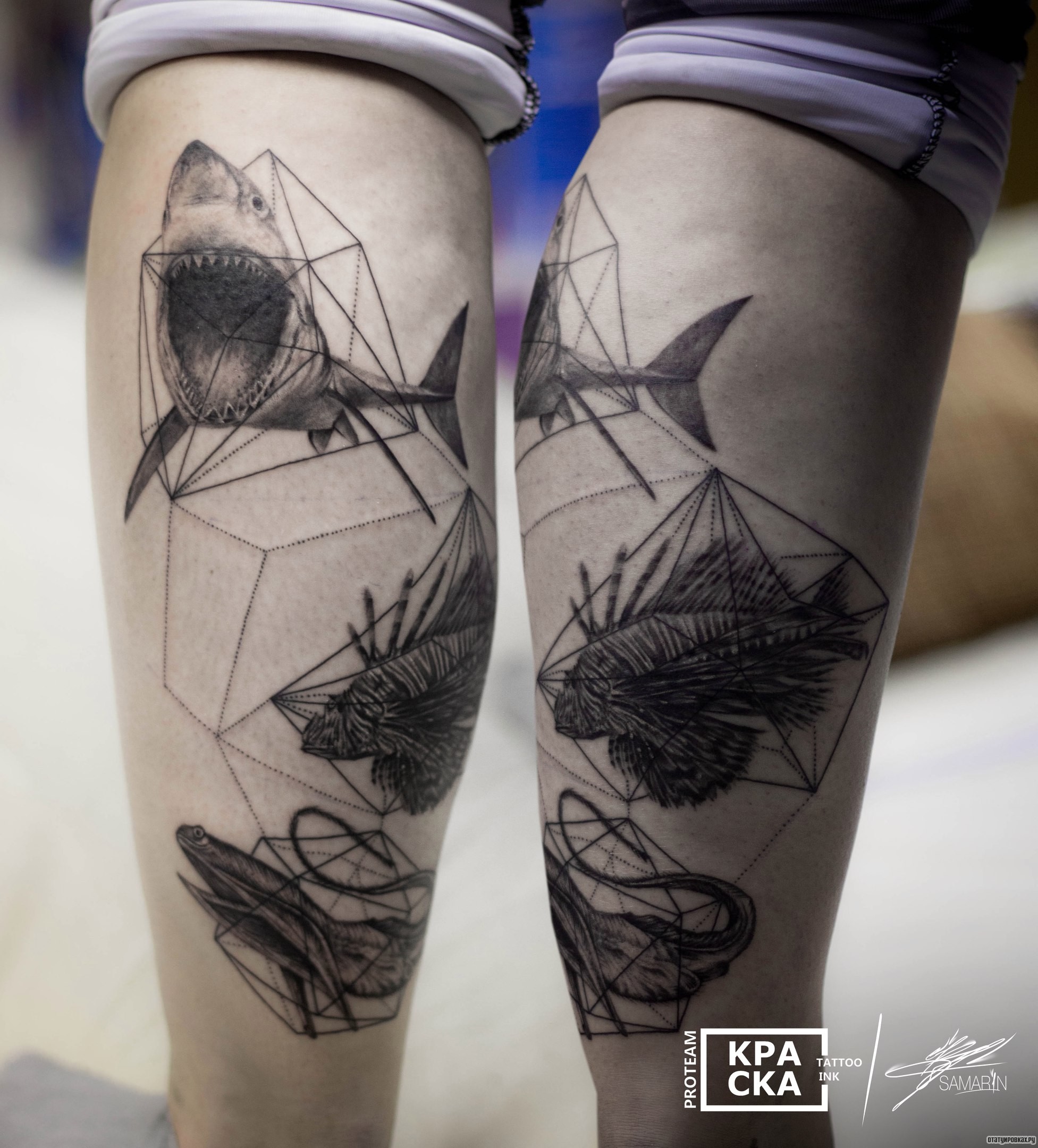 Фотография татуировки под названием «Акула с геометрическими фигурами на голени»
