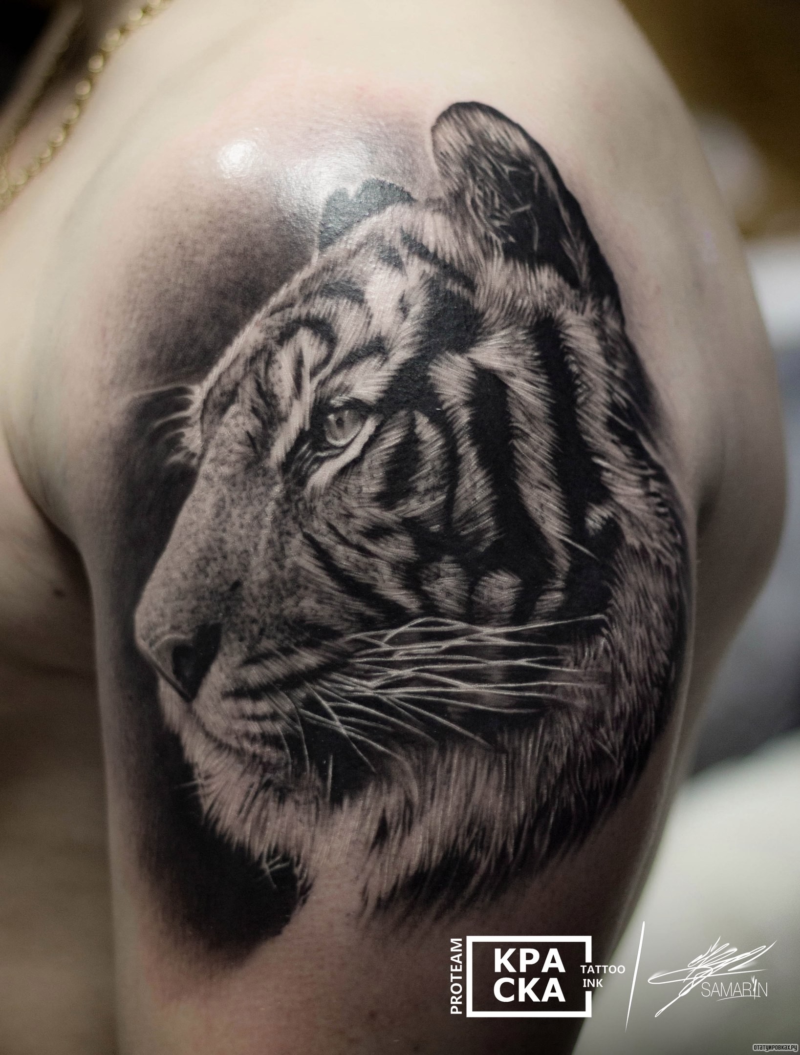 Фотография татуировки под названием «Тигр реализм на плече парня»