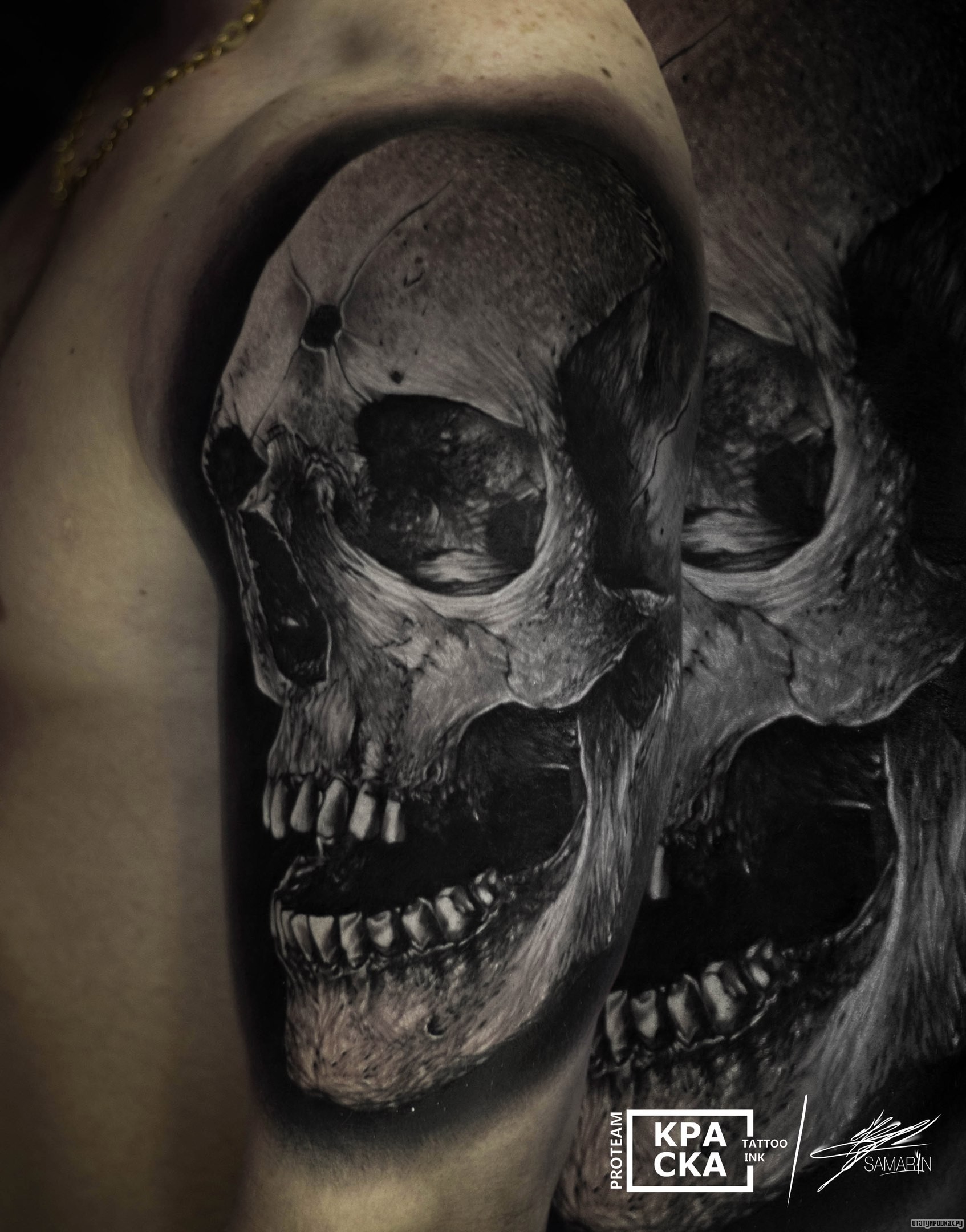 Фотография татуировки под названием «Череп, реализм на плече»