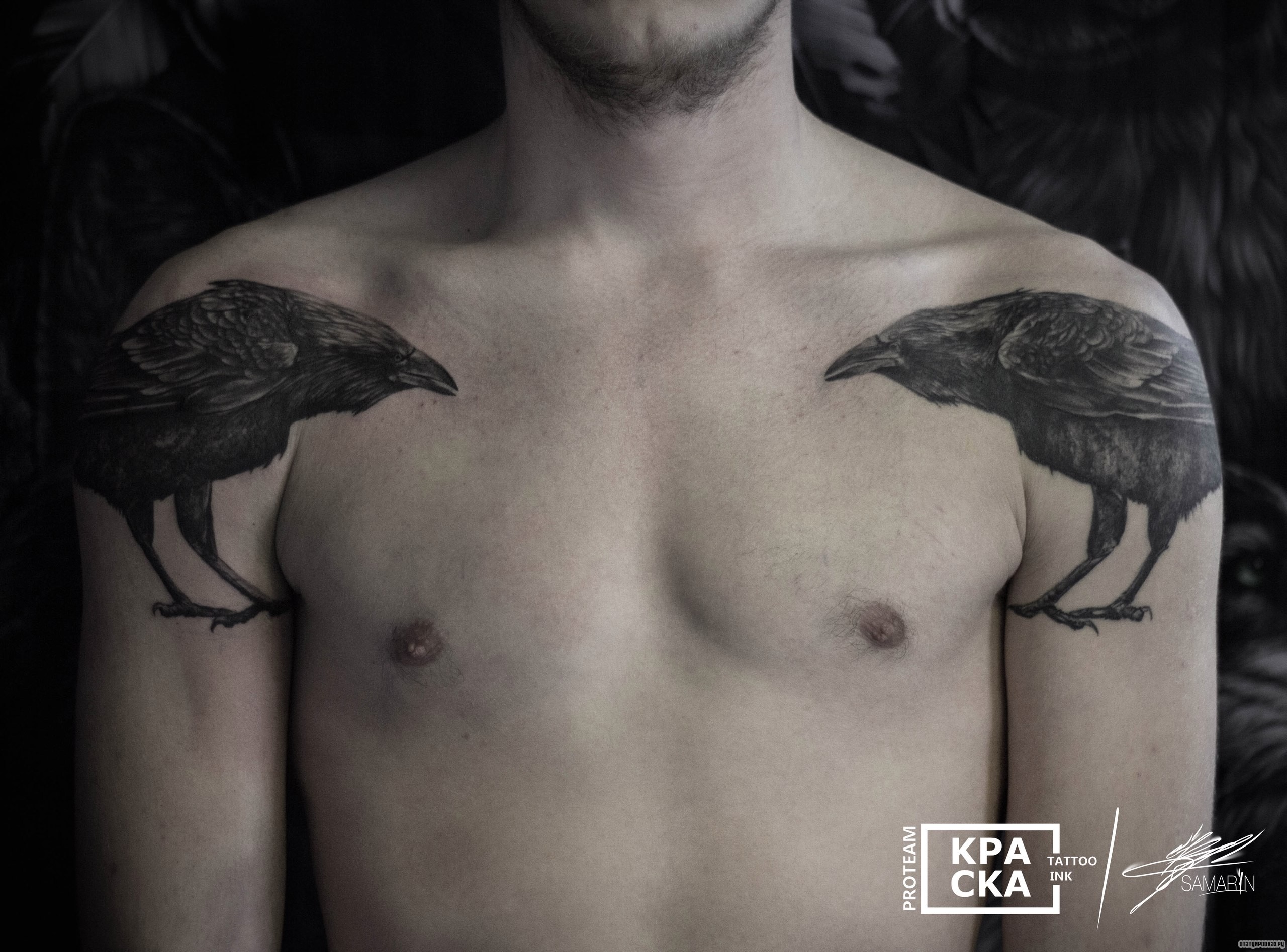 Фотография татуировки под названием «Две вороны на плечах парня»