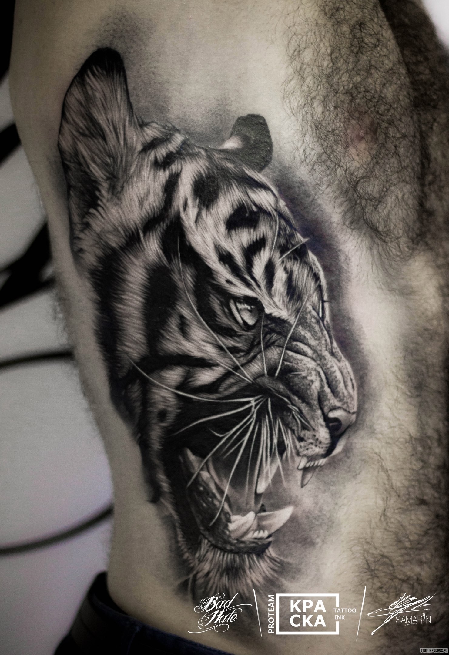 Фотография татуировки под названием «Реалистичный оскал тигра сбоку тела»