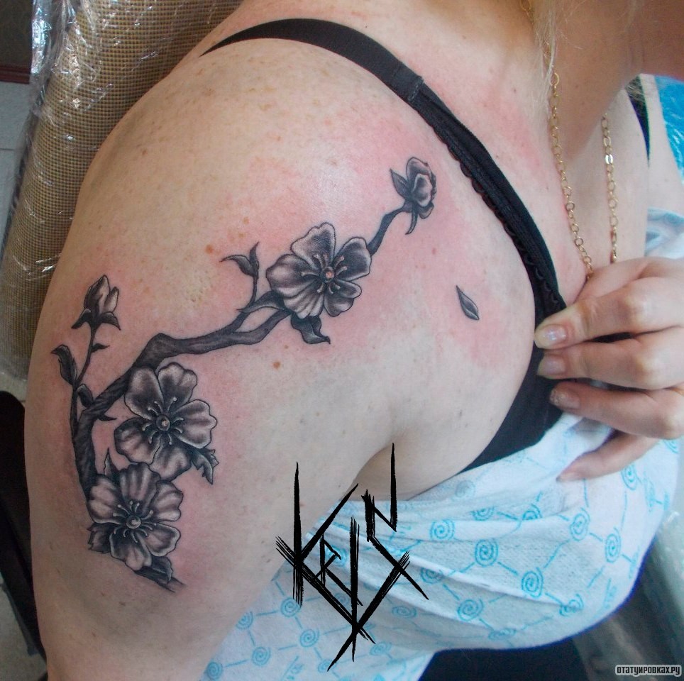 Фотография татуировки под названием «Сакура на плече девушки»