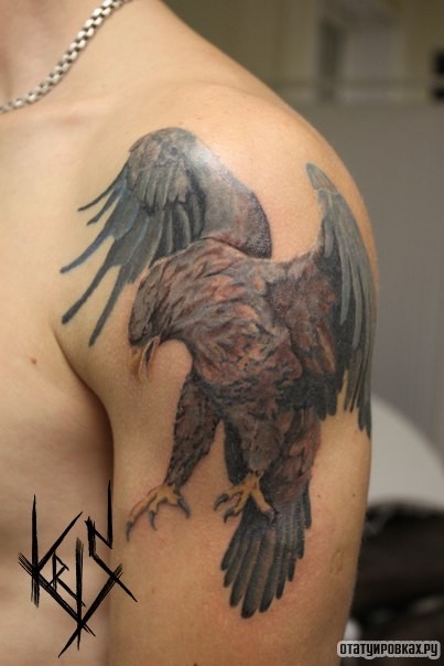 Фотография татуировки под названием «Орел в атаке на плече»