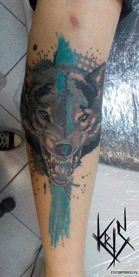 Фотография татуировки под названием «Оскал тигра в стиле треш полька на голени»