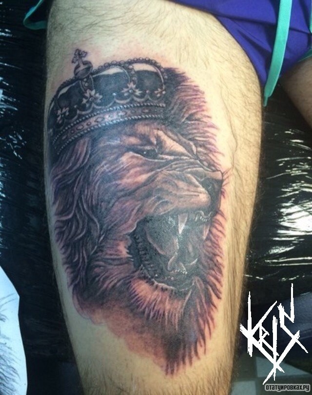 Фотография татуировки под названием «Оскал льва в короне на голени»
