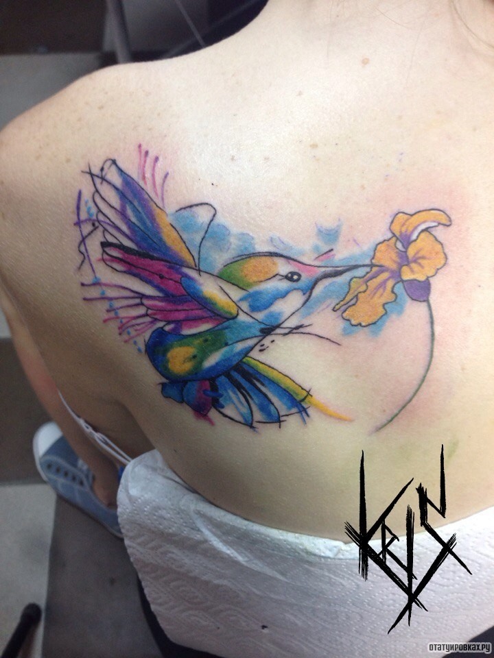 Фотография татуировки под названием «Колибри с цветком, акварель на лопатке девушки»