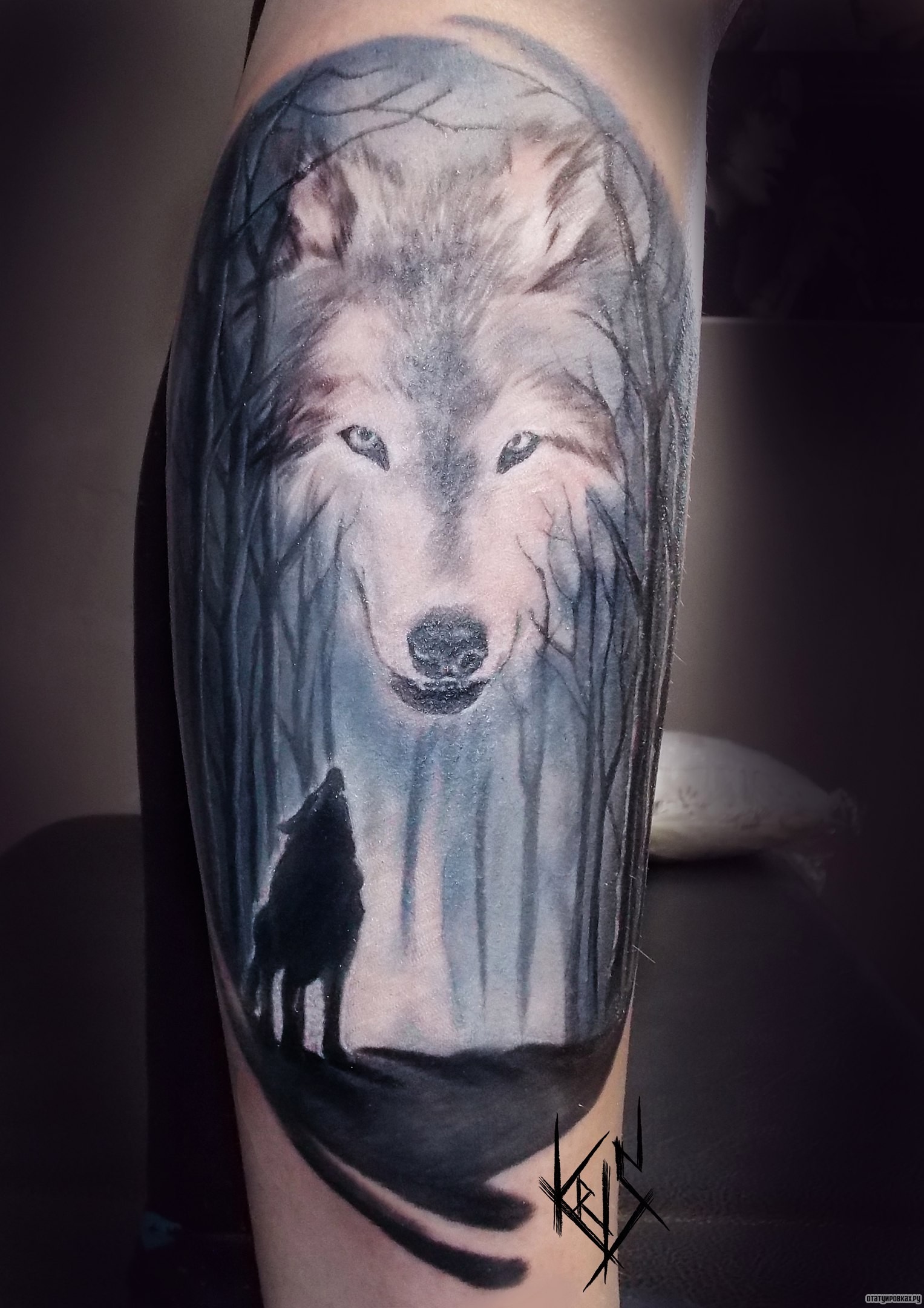 Фотография татуировки под названием «Волк в лесу на предплечье»