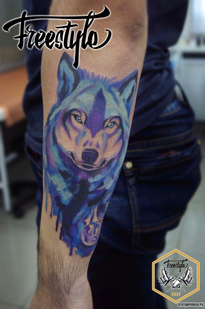Фотография татуировки под названием «Сиреневый волк на предплечье»