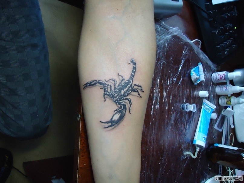 Фотография татуировки под названием «Скорпион 3д на предплечье»