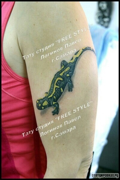 Фотография татуировки под названием «Ящерица черно желтая на плече»