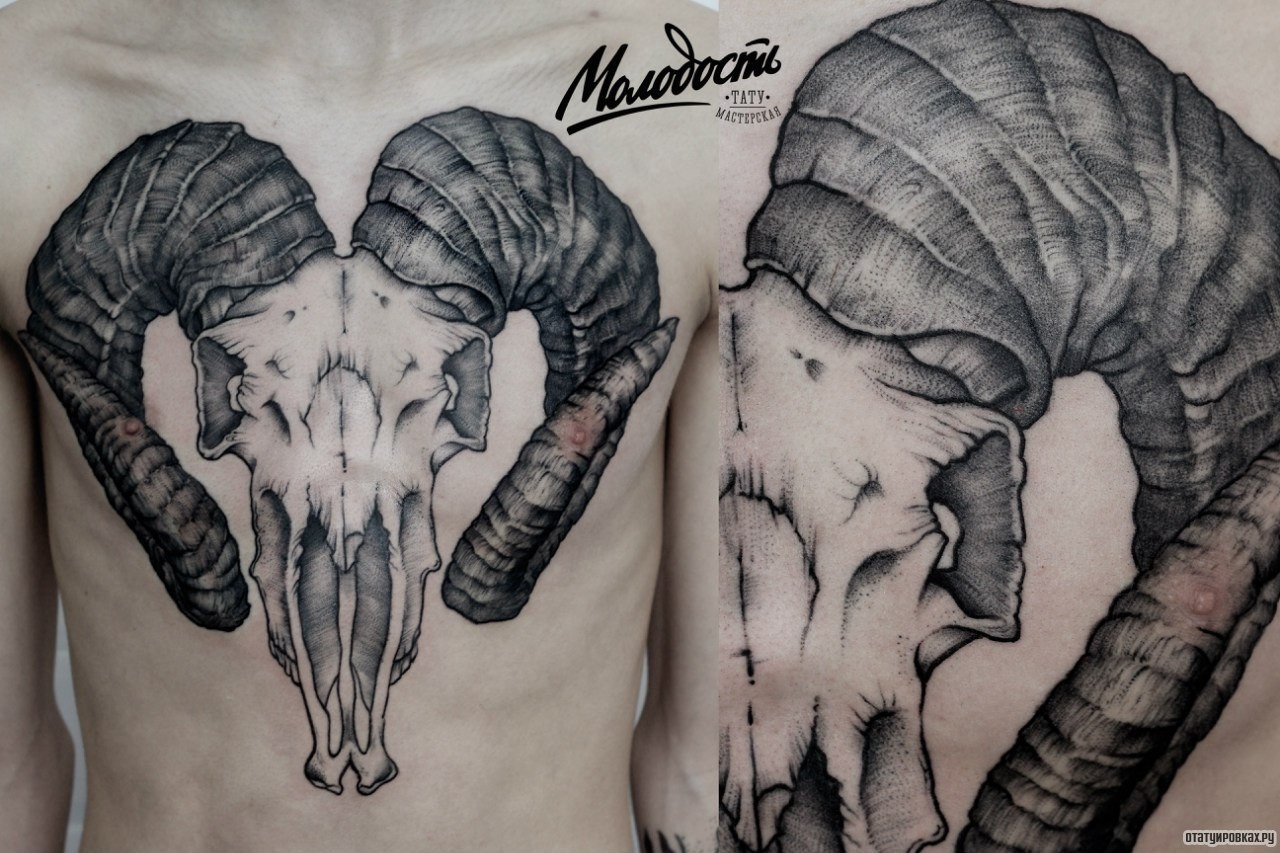 Фотография татуировки под названием «Череп рогатого животного»