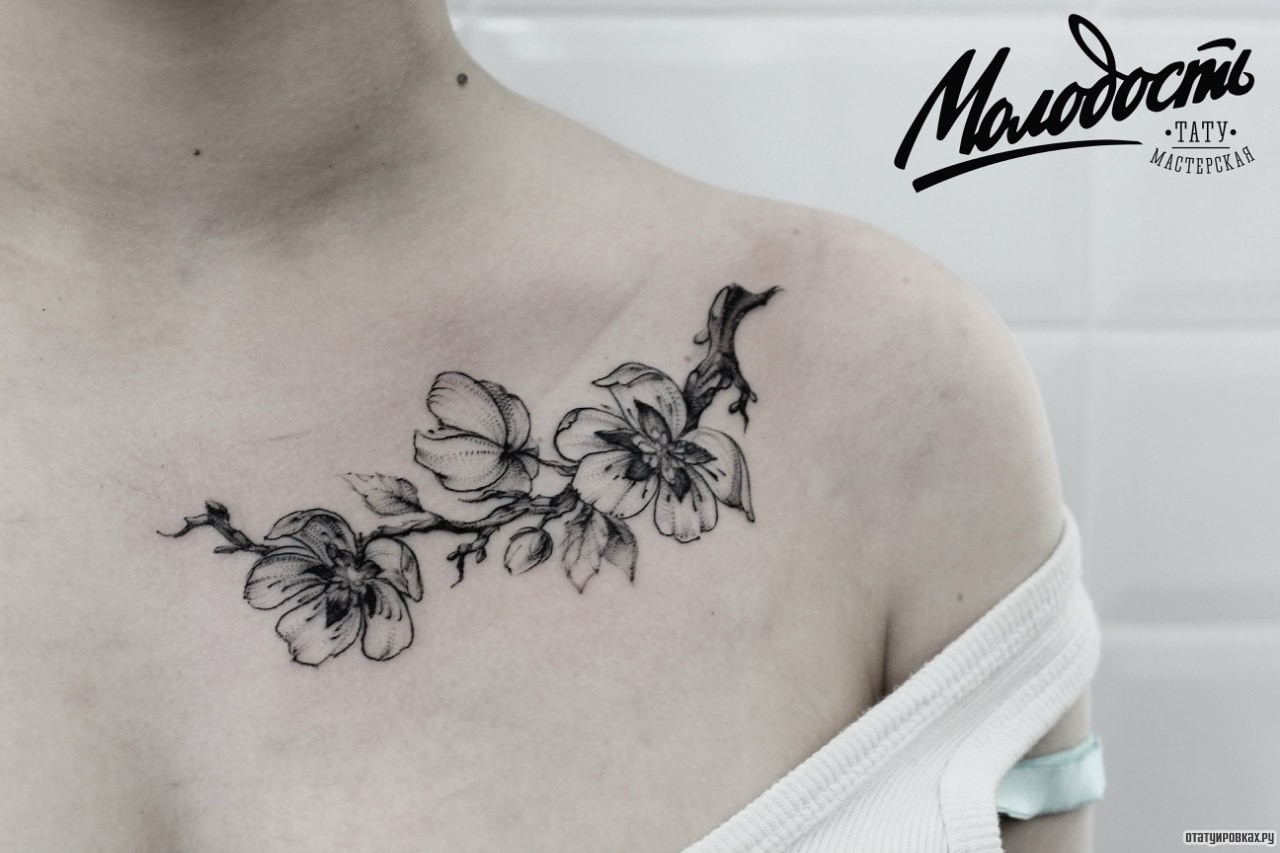 Фотография татуировки под названием «Плюмерия ветка с цветами»