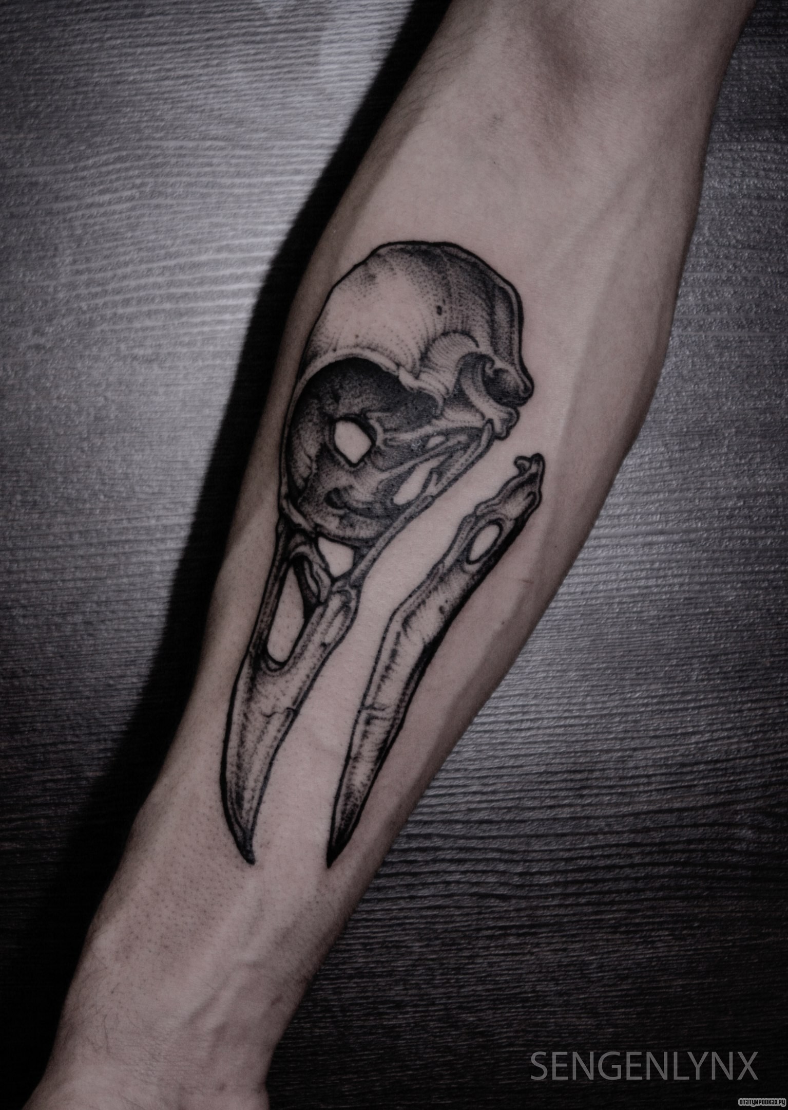 Фотография татуировки под названием «Череп ворона»